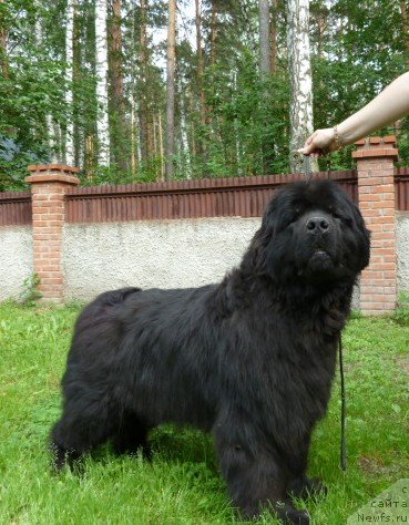 Фотография № 69321