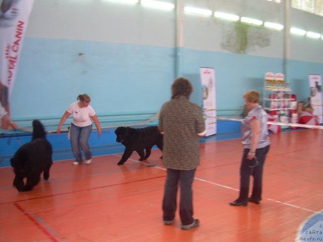 Фото: Гертруда Черная Жемчужина