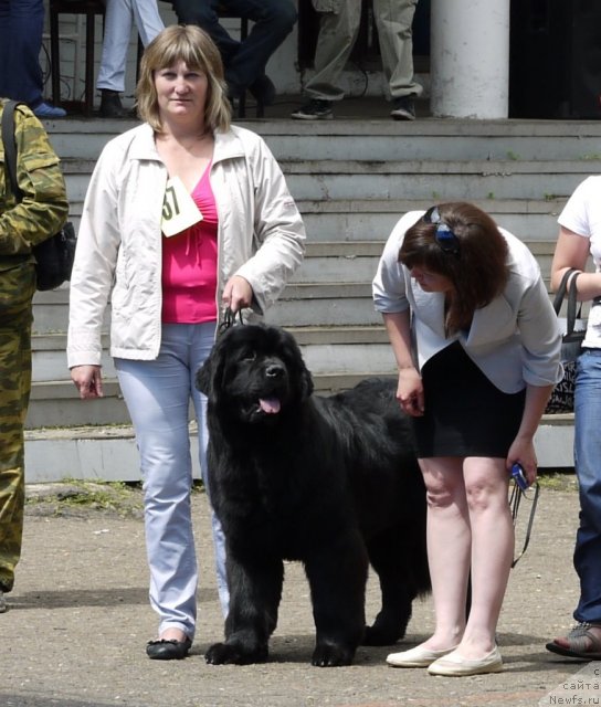 Фотография № 69362