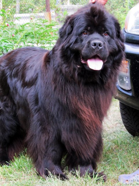 Фотография № 69376