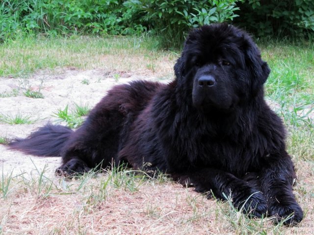 Фотография № 69382