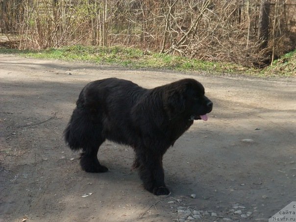 Фотография № 69406