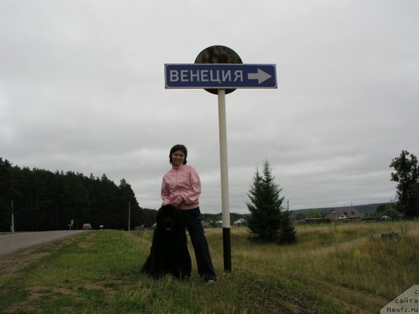 Фото: Svetlana Samarceva (Светлана Самарцева), ньюфаундленд Super Premium Vashington (Супер Премиум Вашингтон)