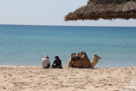 Фотография № 69422