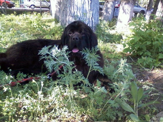 Фотография № 69439