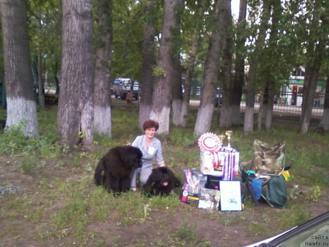 Фотография № 69442