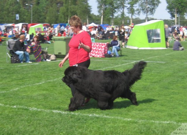 Фотография № 69444