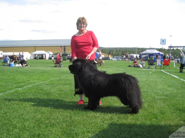 Фотография № 69445