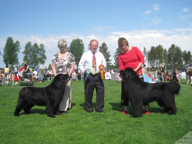 Фотография № 69450