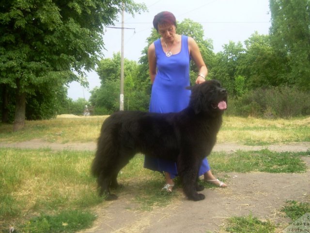 Фотография № 69484