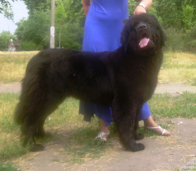 Фотография № 69485