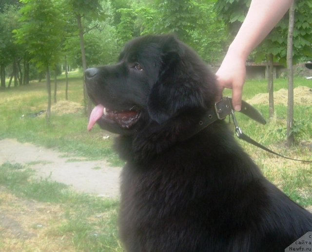 Фотография № 69487