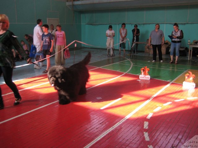 Фотография № 69488