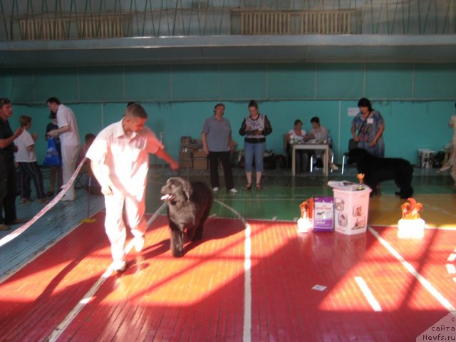 Фотография № 69491