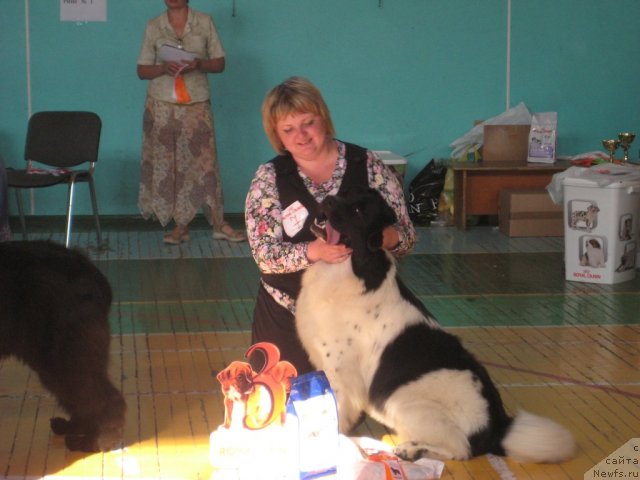 Фотография № 69503