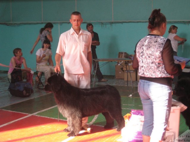 Фотография № 69504