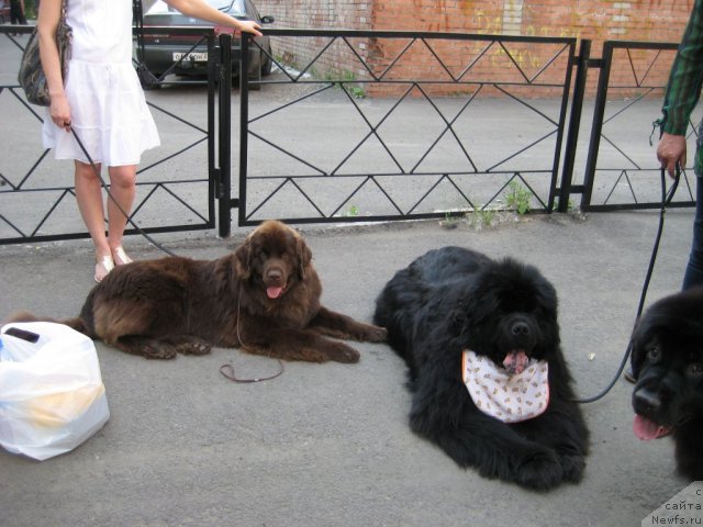 Фотография № 69507