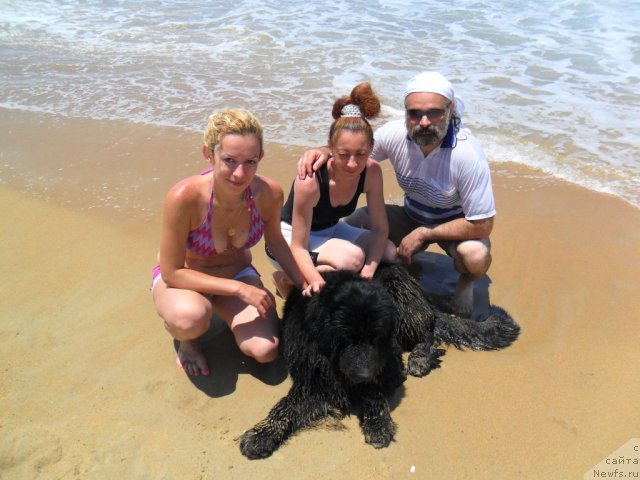 Фото: ньюфаундленд Pitern'yuf CHao-Kakao (Питерньюф Чао-Какао), [p1835] Михаил, Света