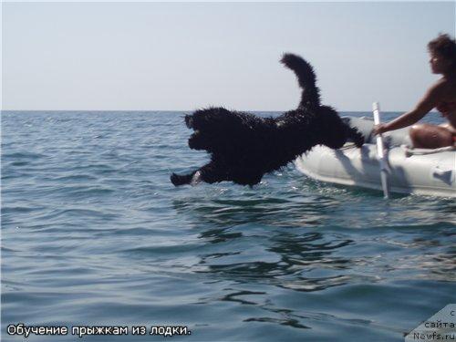 Фотография № 6952