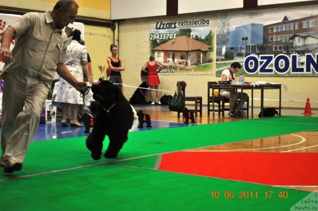 Фотография № 69535