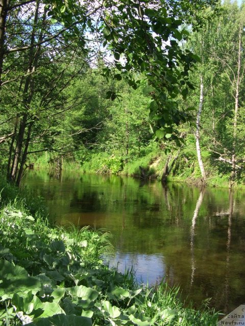 Фотография № 69541