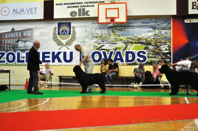 Фотография № 69542