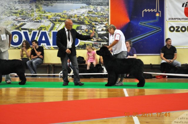 Фотография № 69546