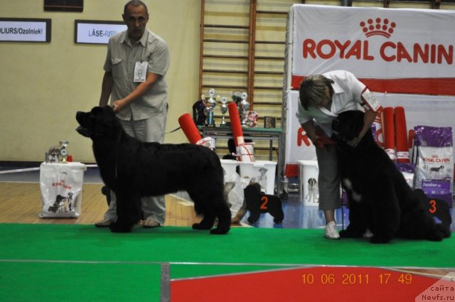 Фотография № 69548