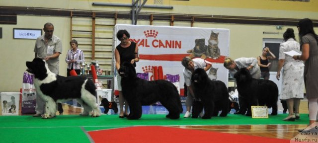 Фотография № 69559