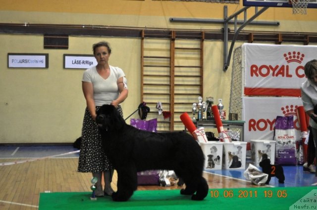 Фотография № 69560