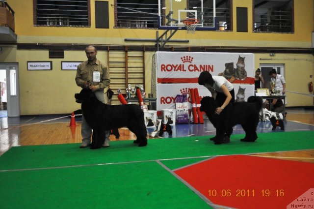 Фотография № 69562