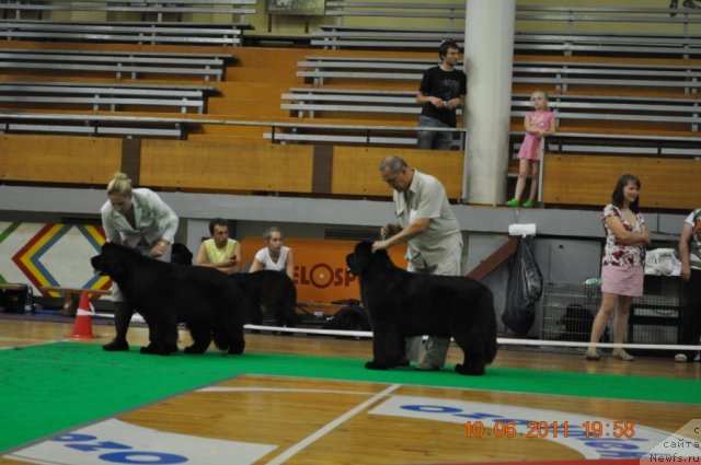 Фотография № 69563