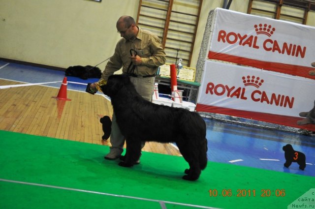 Фотография № 69565