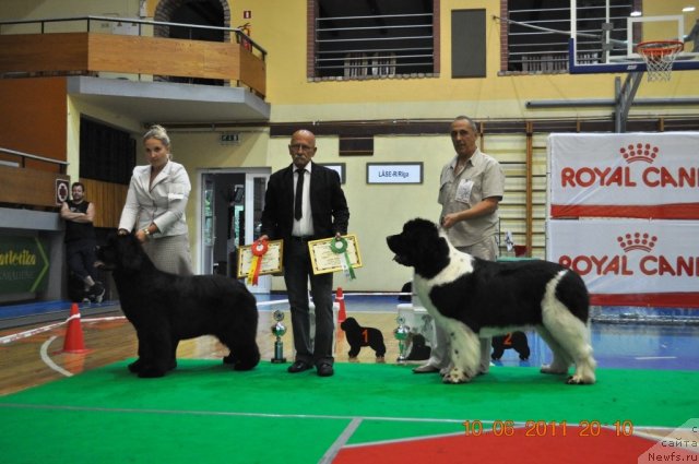 Фотография № 69566