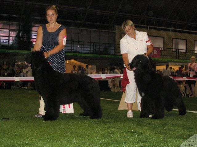 Фотография № 69568