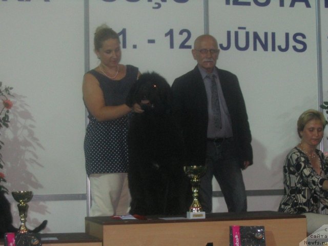 Фотография № 69570