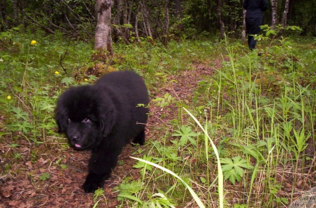 Фотография № 69595