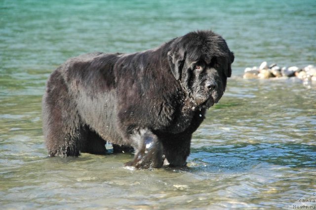 Фотография № 69621