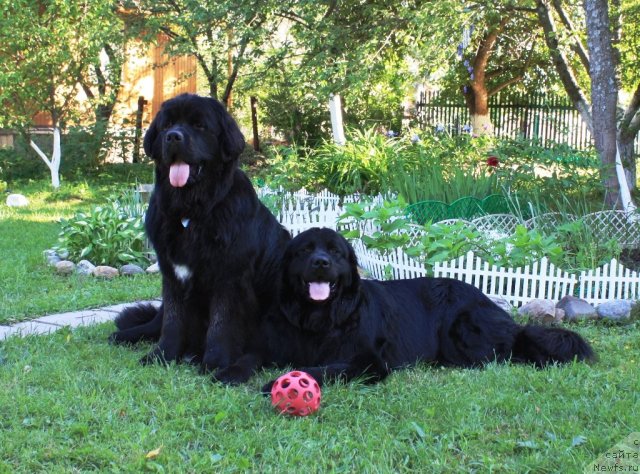 Фотография № 69645