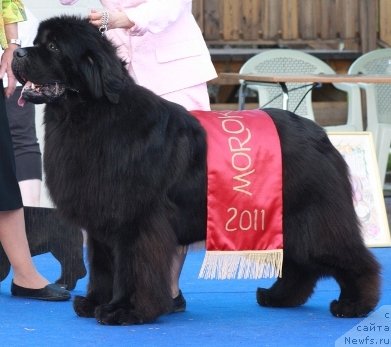 Фотография № 69653