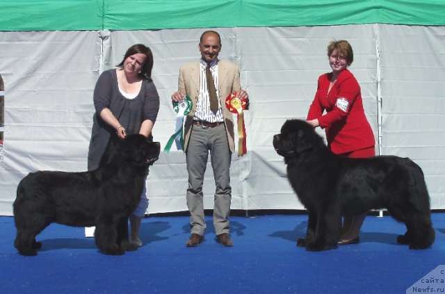 Фотография № 69654