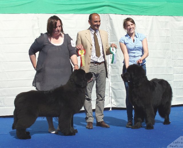 Фотография № 69655