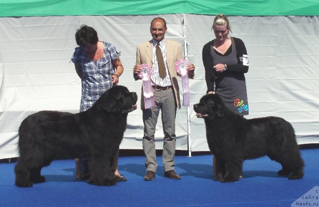 Фотография № 69656