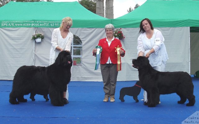 Фотография № 69660