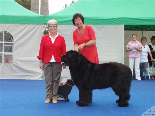 Фотография № 69662