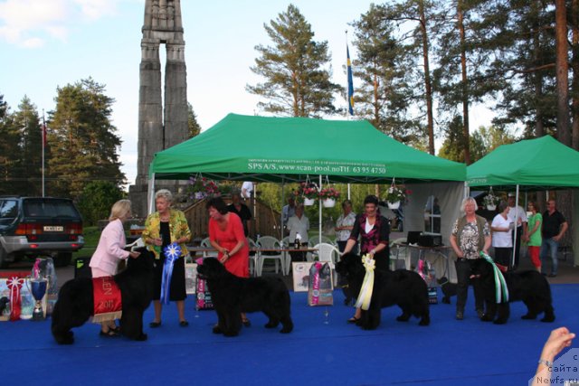 Фотография № 69663