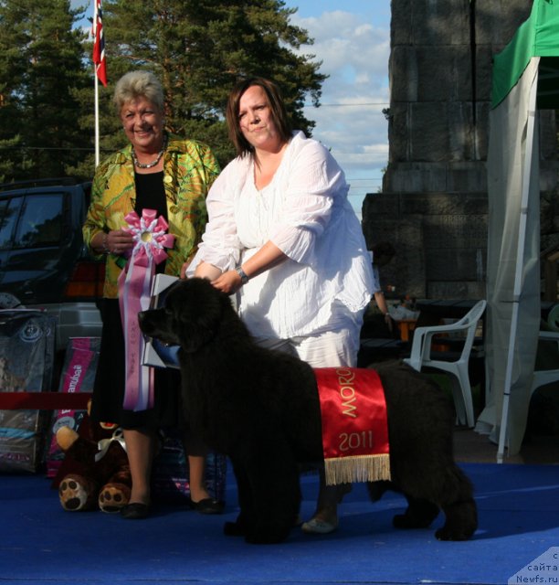 Фотография № 69666