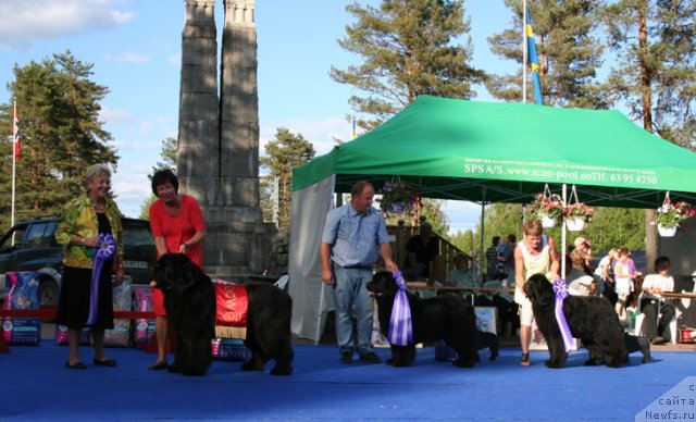 Фотография № 69667