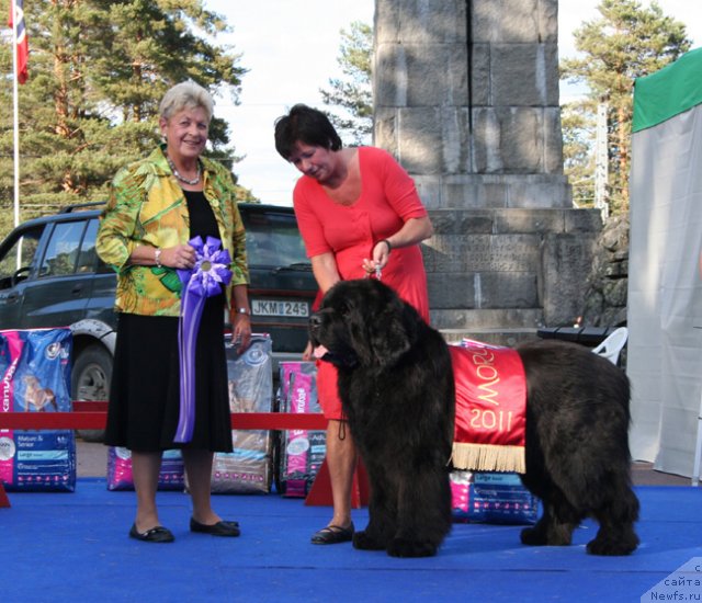 Фотография № 69668