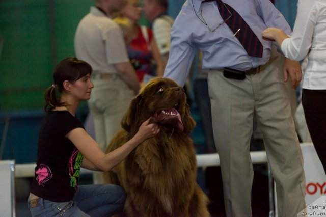 Фотография № 69670